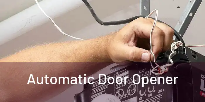  Automatic Door Opener 